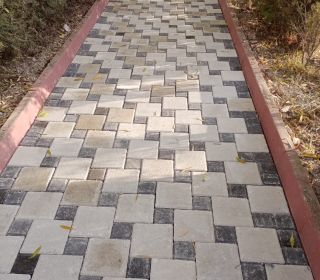 20X20